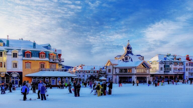 Bug Report: Mont-Tremblant, Quebec – 2026-03-17