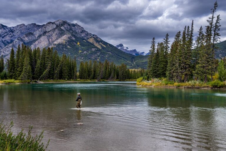 Bug Report: Banff National Park, Alberta – 2026-03-17
