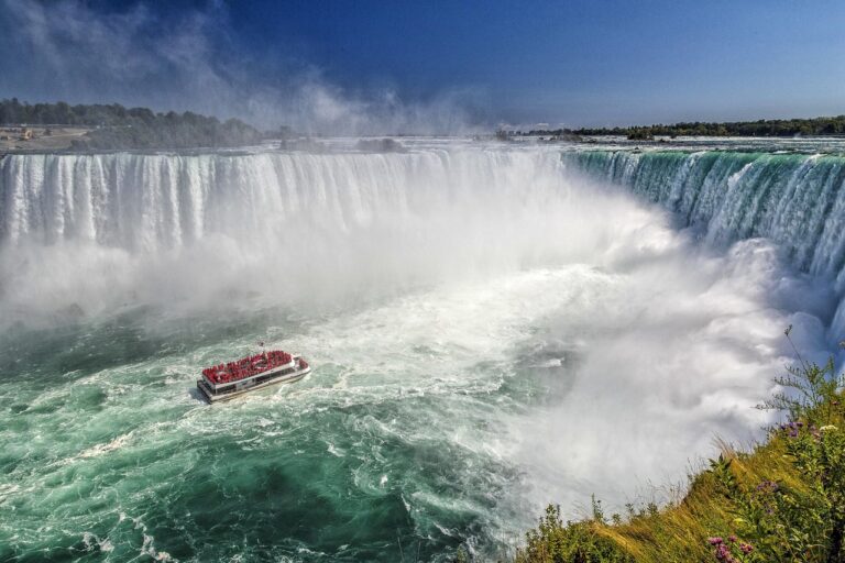 Bug Report: Niagara Falls, Ontario – 2026-03-18